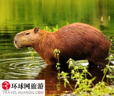 xmmouse 我可以给出更针对性的建议