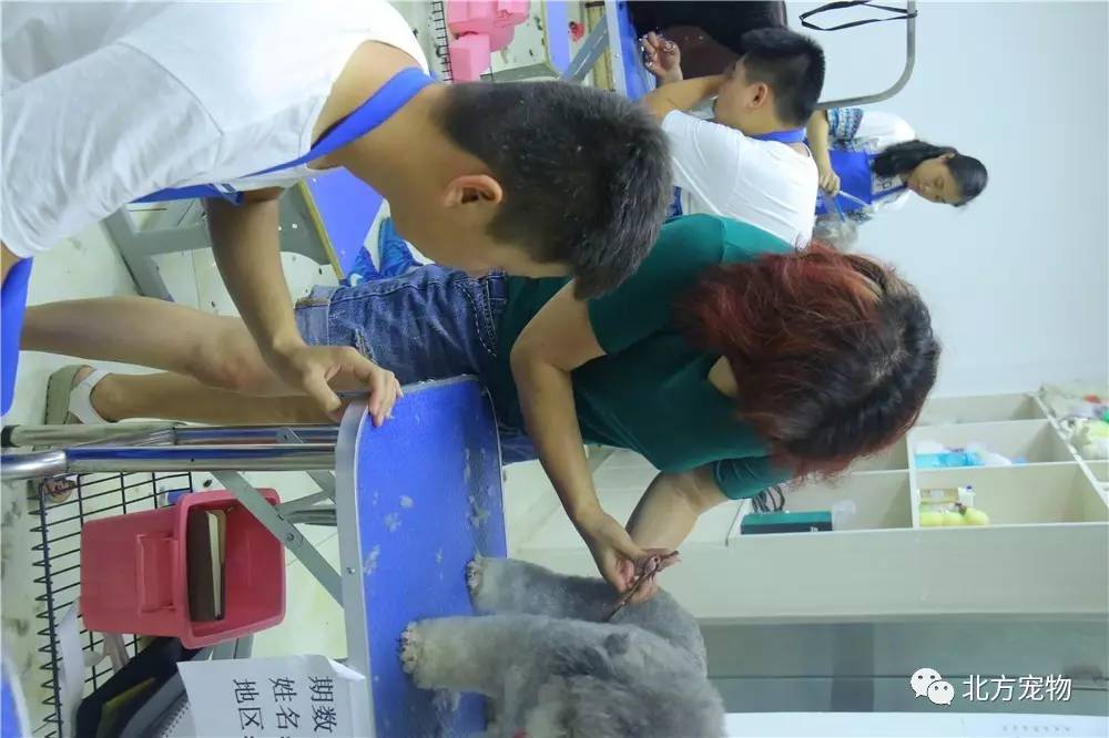 视频kanav 视频支持视频编辑）