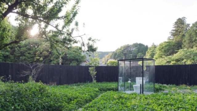 台湾红星出品的电影 红星《光阴的出品故事》等