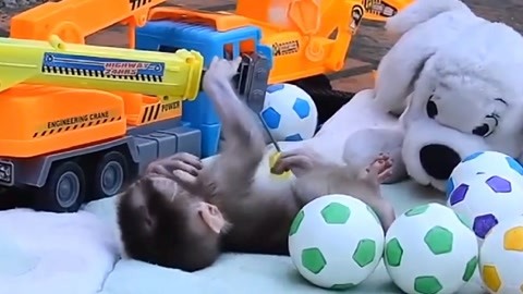 2020年国产精品无码视频