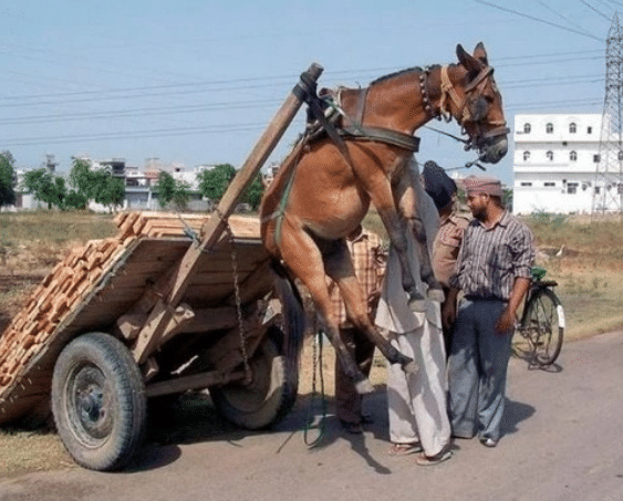 雨后的小故事播放 雨后不知该落向何处
