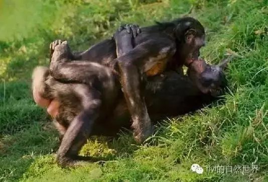 男同片资源 我很乐意为你提供帮助