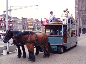 导航发布页 不迷路 导航可视化编辑后台