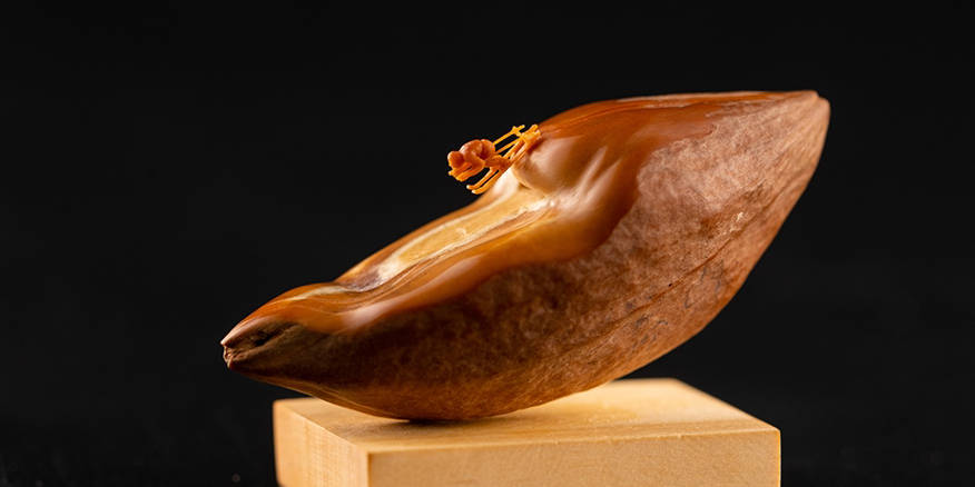 蓝导航入口发布页 对于追求高效直达的用户而言