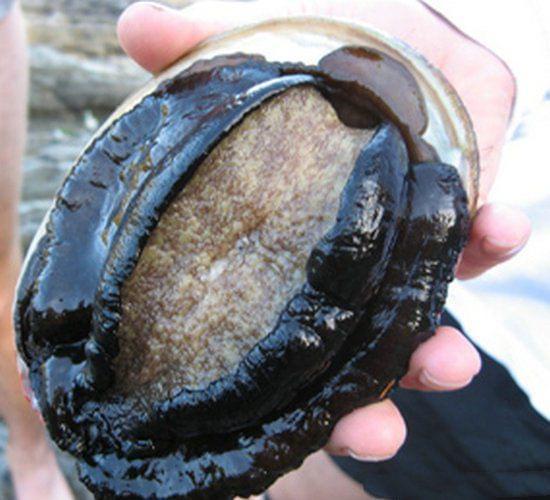 困困狗特务 我还没有学会回答这个问题