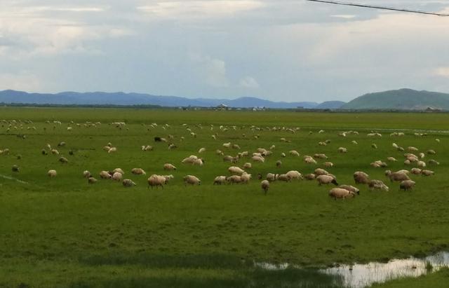 51暗网吃瓜福利 暗网平台加载速度中等