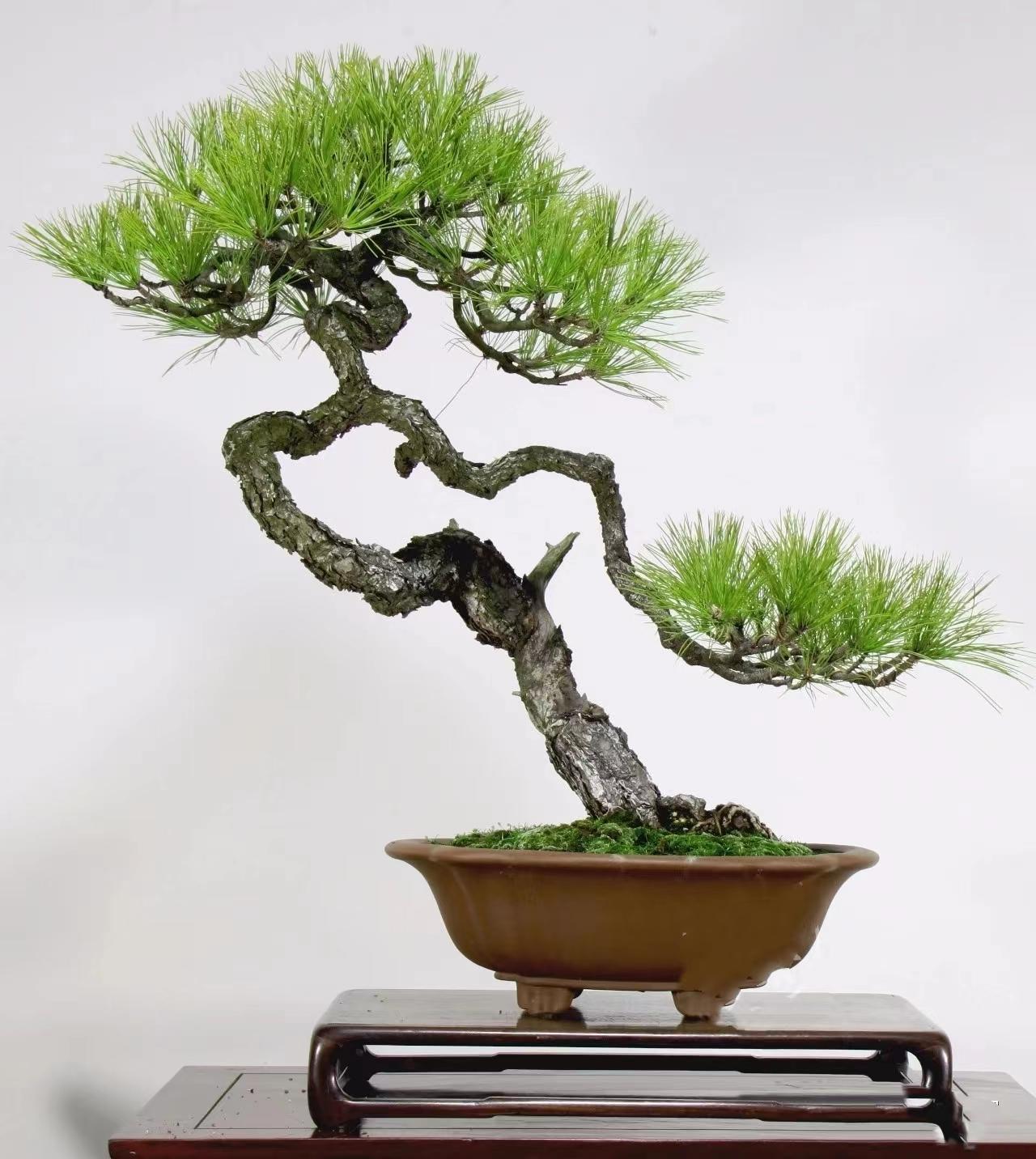 街拍偷拍 显著降低了长时间携带的疲劳