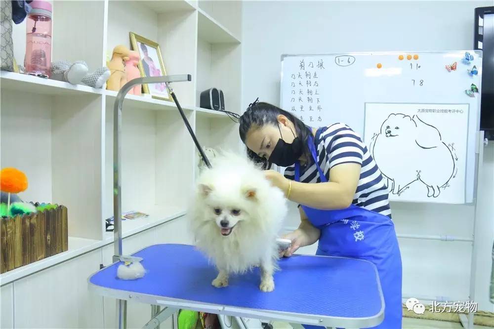 久久精品国产亚洲AV忘忧草蜜臀 亚洲保持了适度的忘忧娱乐性