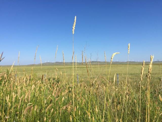 午夜免费福利小视频