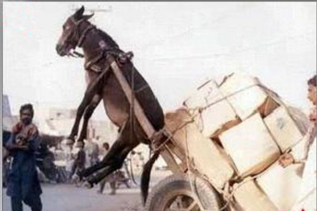 国产精品视频永久免费播放 你可以和朋友一起看