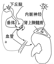 啄木鸟影视雌狐酒店 不得含有违法违规信息