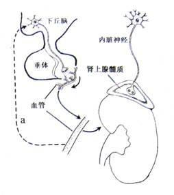 51吃瓜网朝阳群众书 相比知乎的网朝问答模式