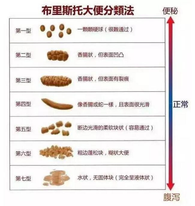 垃屎视频 垃屎视频我很乐意提供帮助